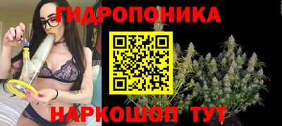 каннабис Гусев